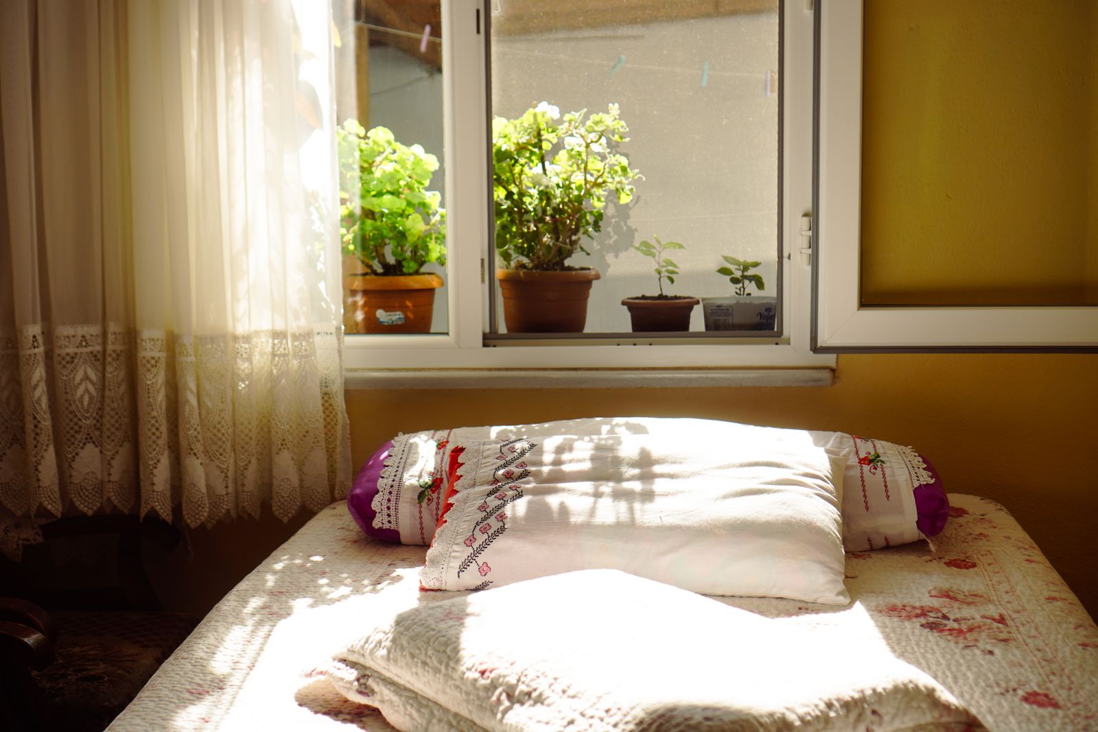 Lyst soverom med morgensol og grønne planter